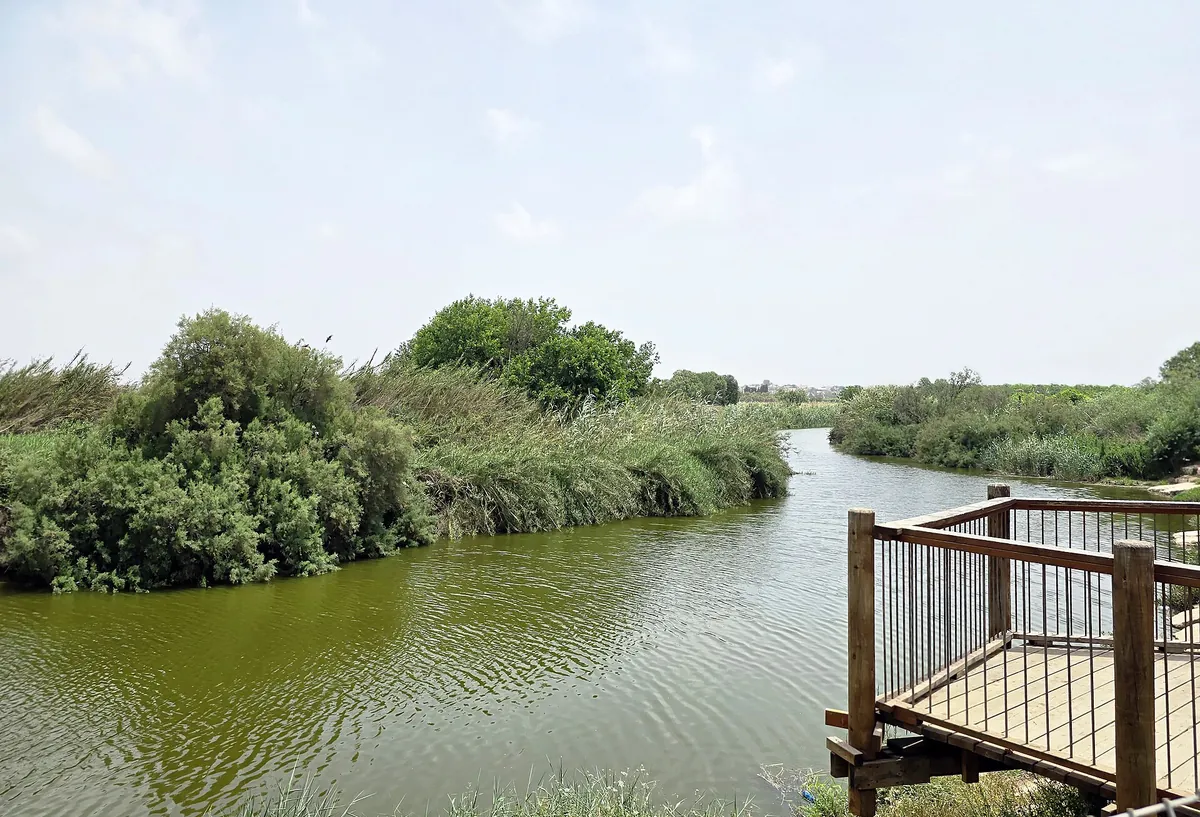 The Alexander Stream seen from the Turtle Bridge near Kfar Vitkin