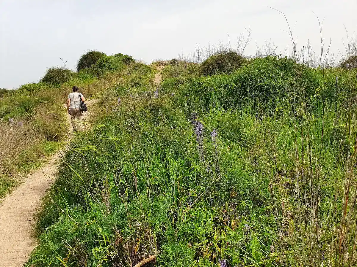 Sha'ar Poleg nature reserve on the southern edge of Netanya